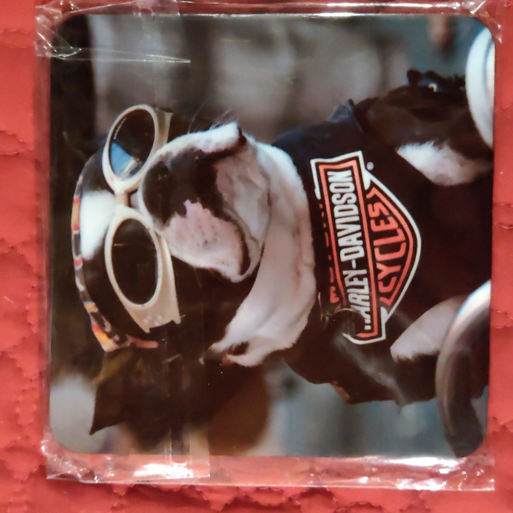 New in package 4 Harley dog coasters